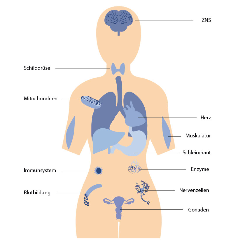 Eisenmangel Symptome