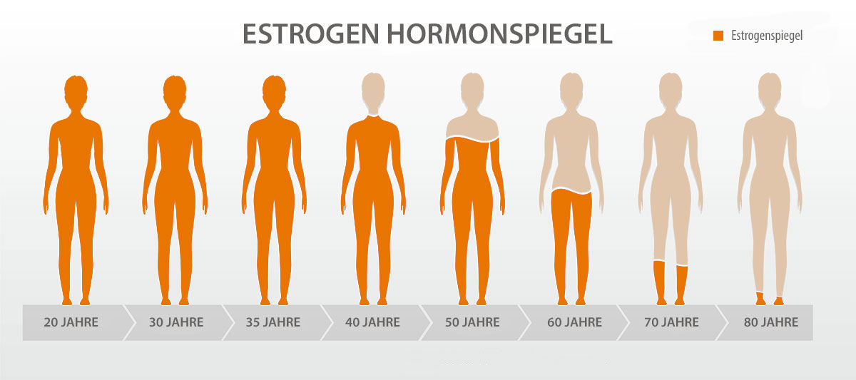Östrogen Hormonspiegel